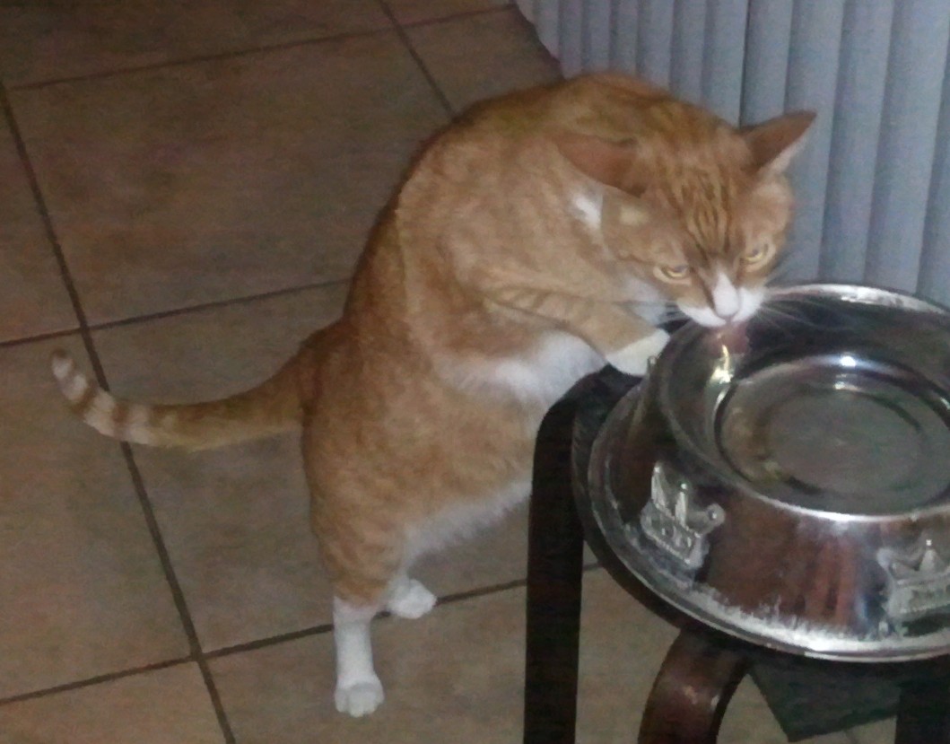 Oliver