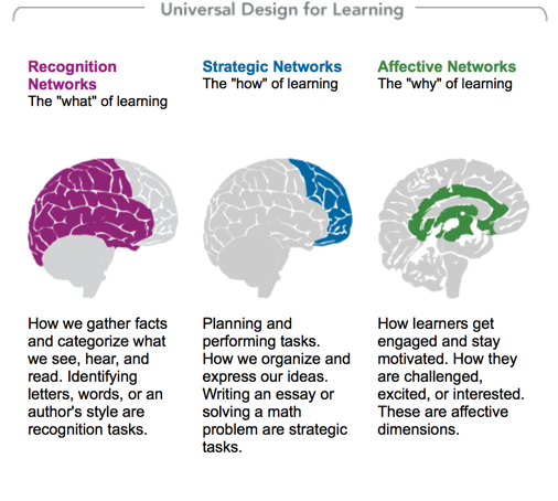 Universal Design for learning incorporates three networks: Recognition Networks which is the what of learning, Strategic Network which is the how of learning, and Affective Network which is the why of learning.