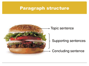 Paragraph structure burger. Topic Sentence image.