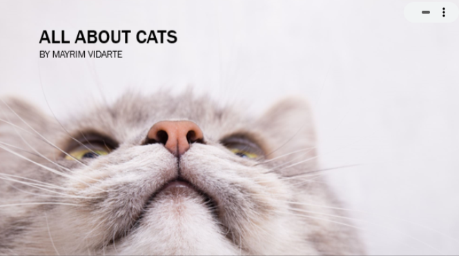 All About Cats Presentation Screenshot