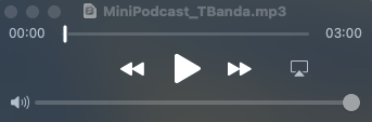 Screenshot of the audio editing interface for the Mini Podcast Project