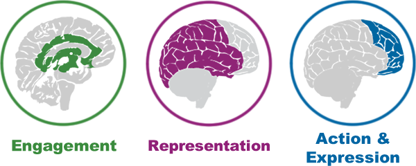 Graphic of engagement, representation, action and expression principles of UDL.