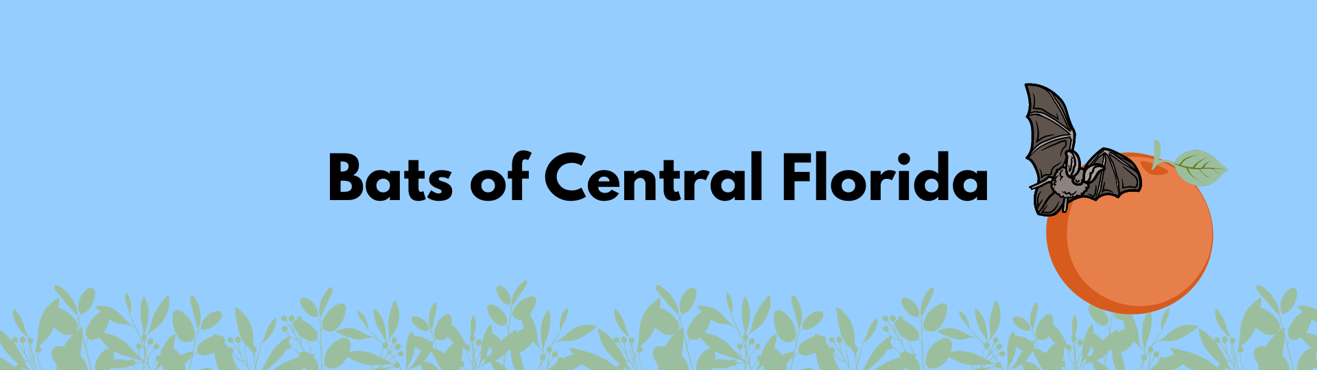 Bats of Central Florida